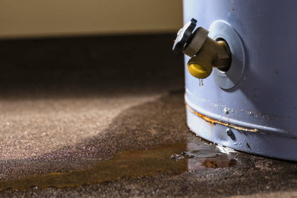 Best Water damage restoration near me  in Waterville, OH