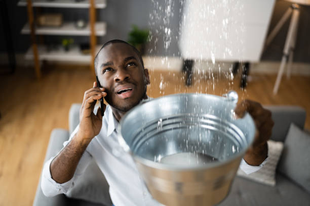 Best Water damage restoration near me  in Waterville, OH