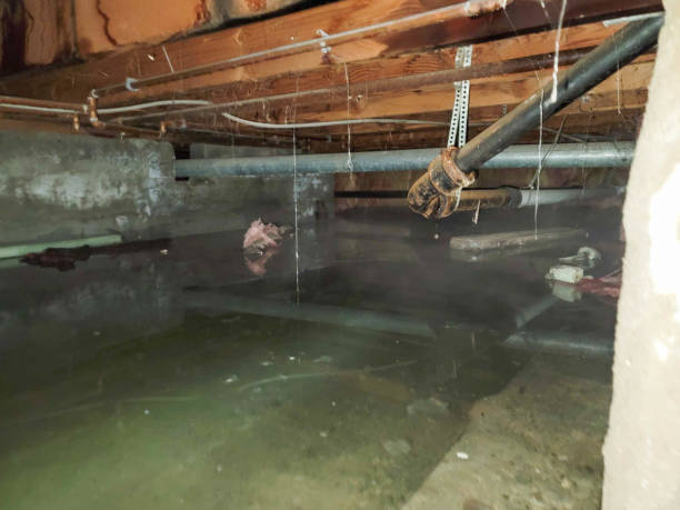 Best Residential water damage restoration  in Waterville, OH