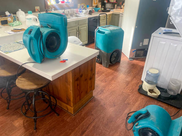 Best Sewage cleanup and water damage restoration  in Waterville, OH