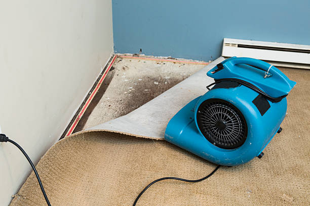  Waterville, OH Water damage restoration Pros