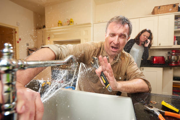 Best Mold removal after water damage  in Waterville, OH